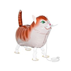 Tommy die Katze Tommy die Katze