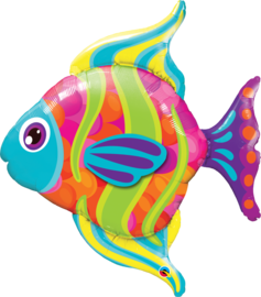 Bunter Fisch Bunter Fisch