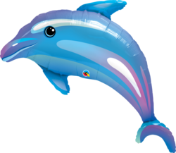 Delfin  Delfin