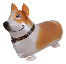 Air Walker Jack Russel Air Walker Jack Russel